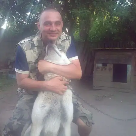 Pet, 50